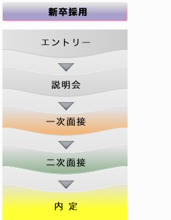 新卒採用の選考フロー